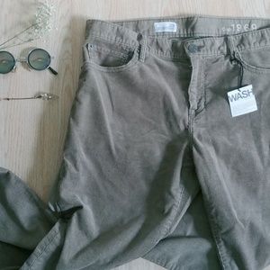 GAP pants sexy Boyfriend dark Corduroy sz 29r NWT
